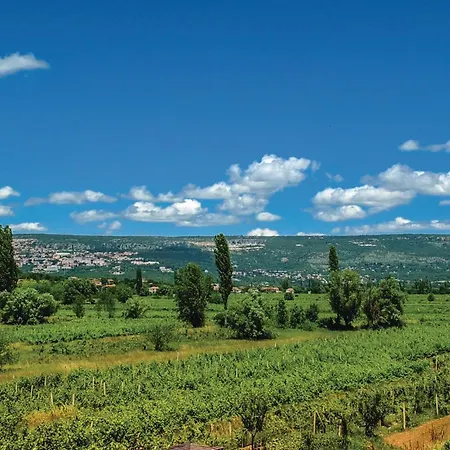 Holiday home Gorgeous In Zmijavci