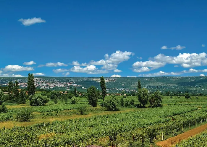 Holiday home Gorgeous In Zmijavci